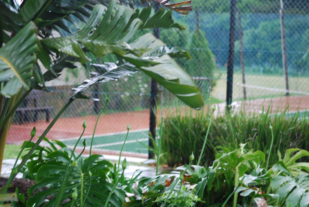 Tennis The Wilderness Hotel