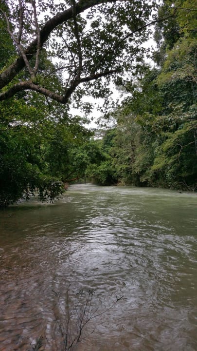 Fluss Our Jungle House