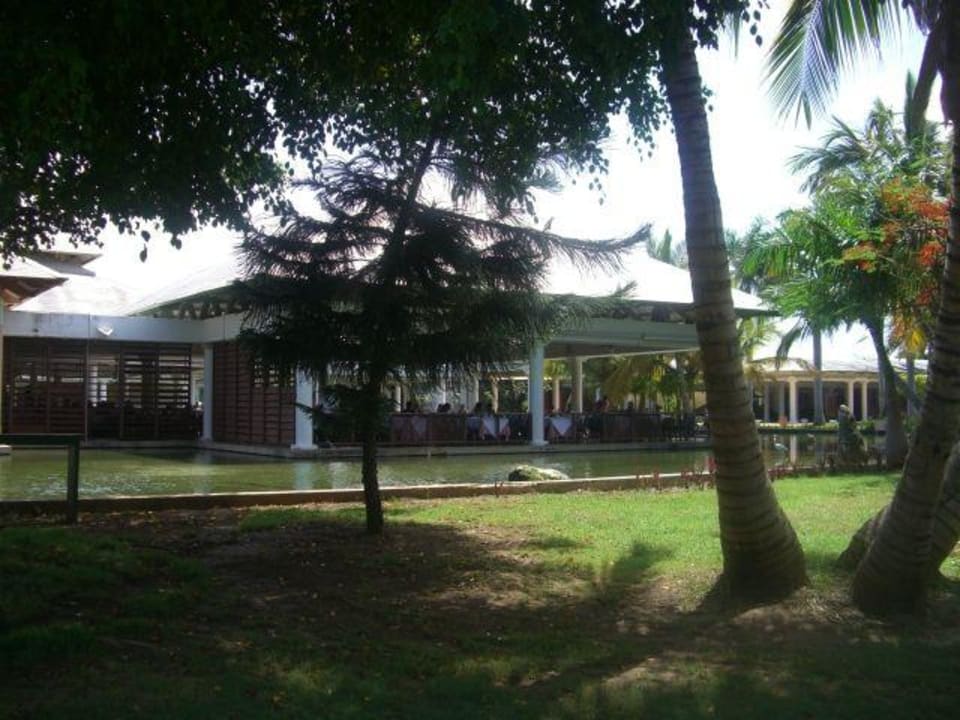 Buffetrestaurant Catalonia Punta Cana - All Inclusive
