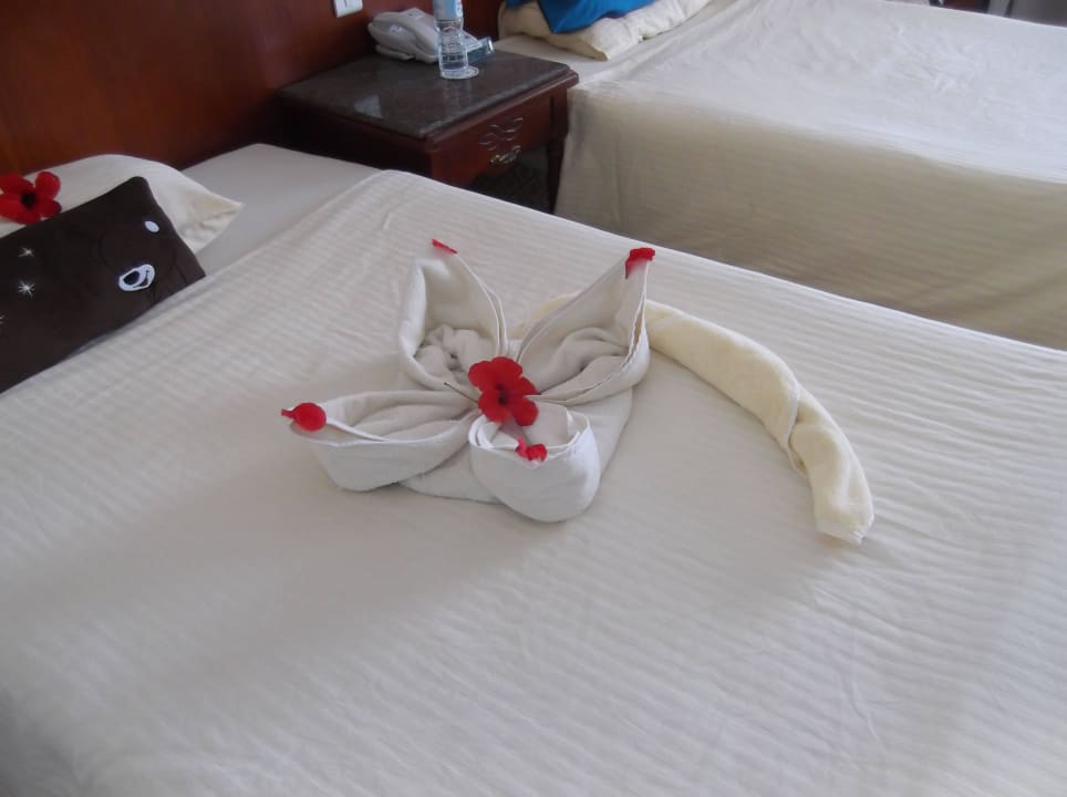 Toll unser Zimmerboy war super Pickalbatros Dana Beach Resort - Hurghada