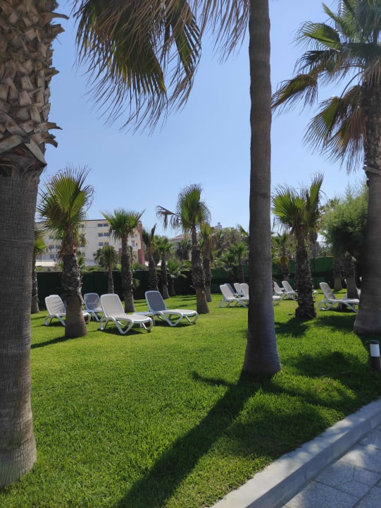 Gartenanlage Hotel Miramare Beach