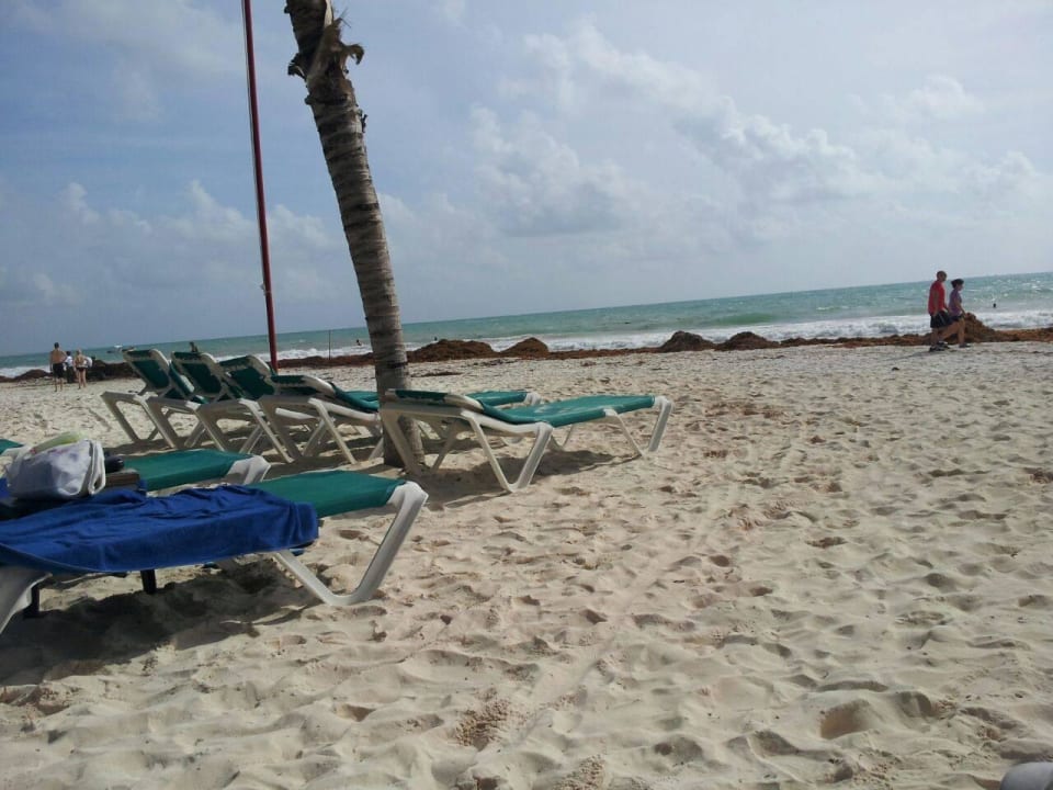 Hotel Catalonia Playa Maroma Catalonia Playa Maroma