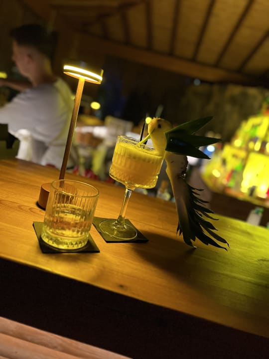 Gastro Rubi Platinum Sign