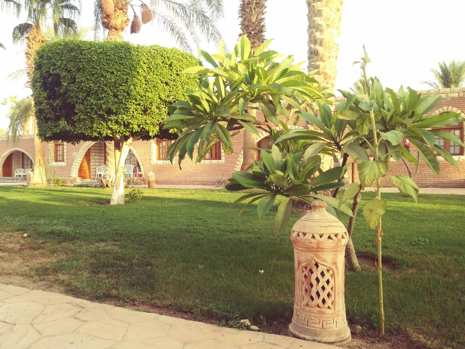Gartenanlage Aladdin Beach Resort