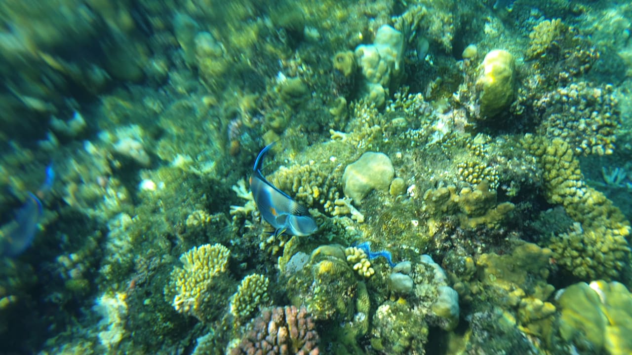 Strand Casa Mare Resort