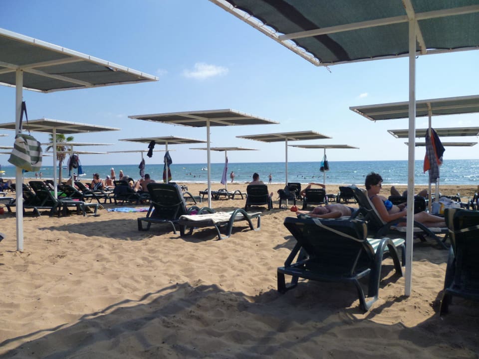 Liegen waren ausreichend vorhanden Hotel Süral Resort