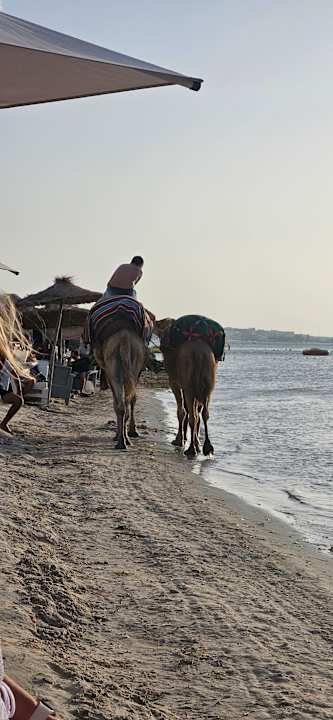 Strand Skanes Serail Aquapark