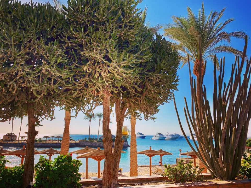 Ausblick Marriott Hurghada Beach Resort