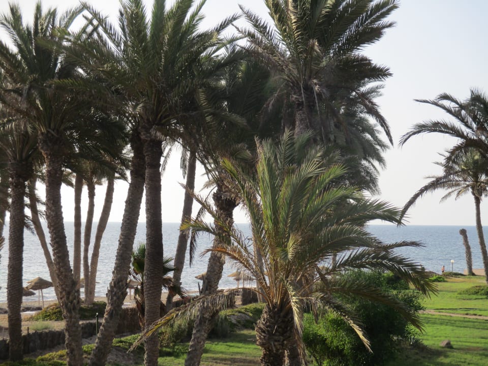 Gartenanlage Zita Beach Resort