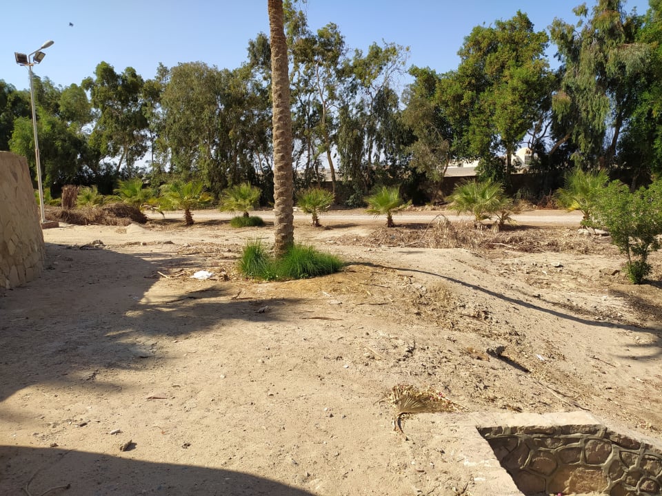 Ausblick Brayka Bay Resort