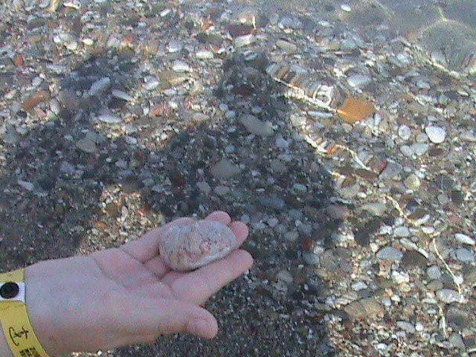 Klares Wasser Hotel Zorbas Beach