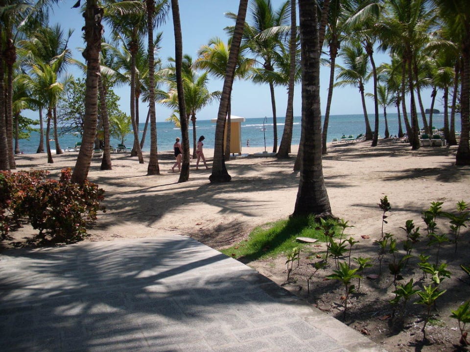 Strand Playabachata Hotel