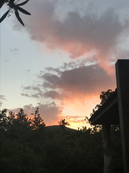 Ausblick Kariega Game Reserve - Settlers Drift