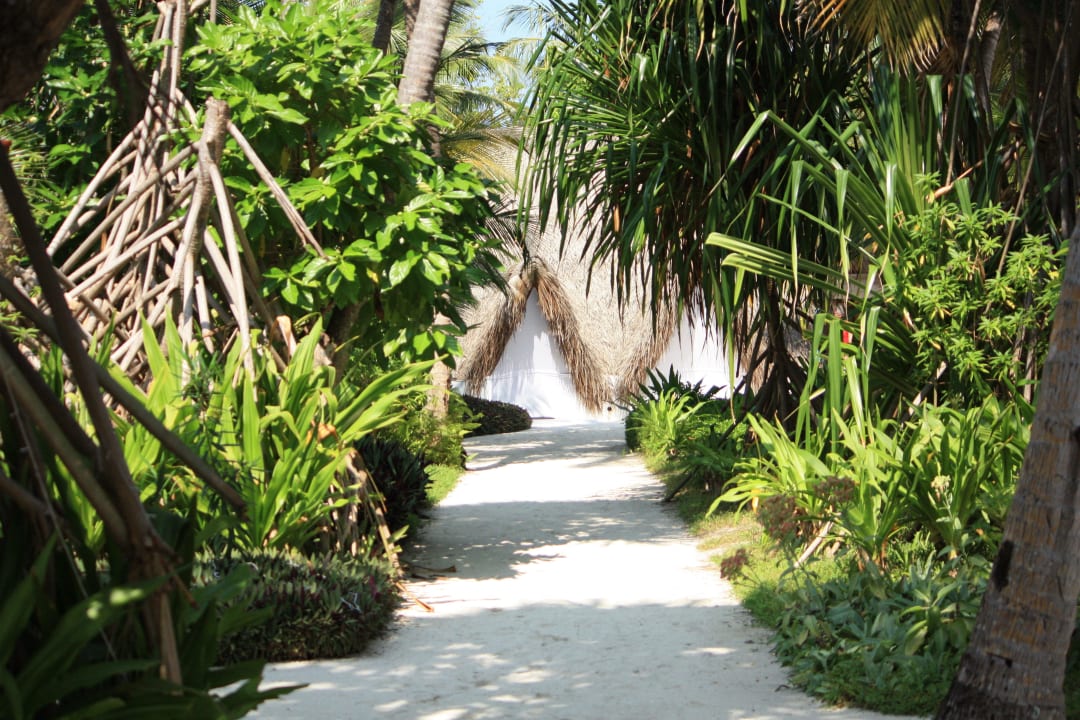 Gartenanlage Kuramathi Maldives