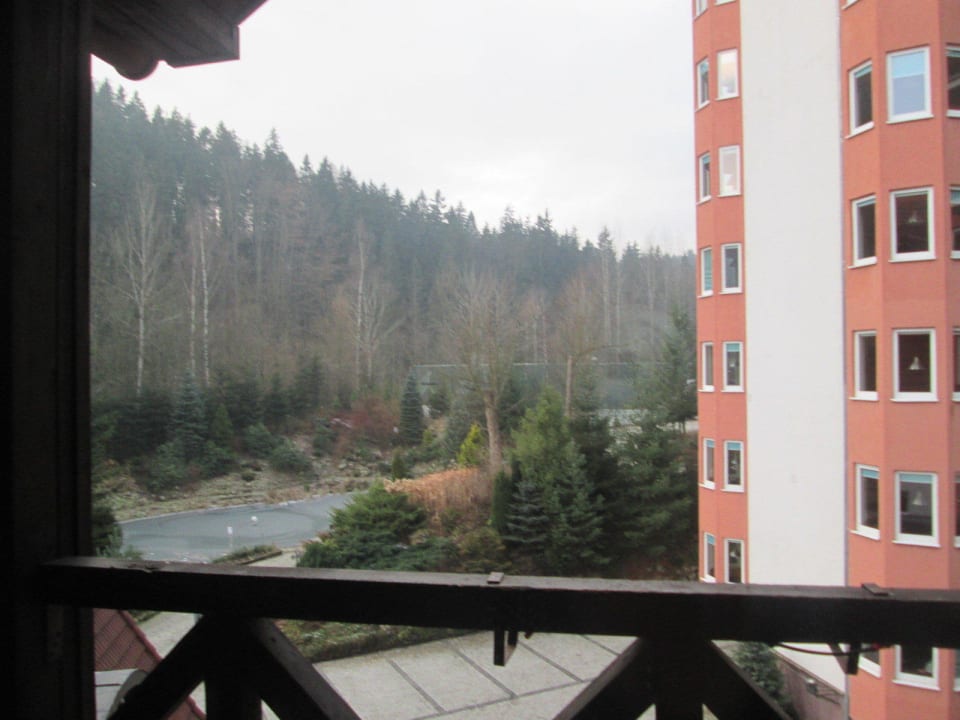 Widok z balkonu Hotel Las