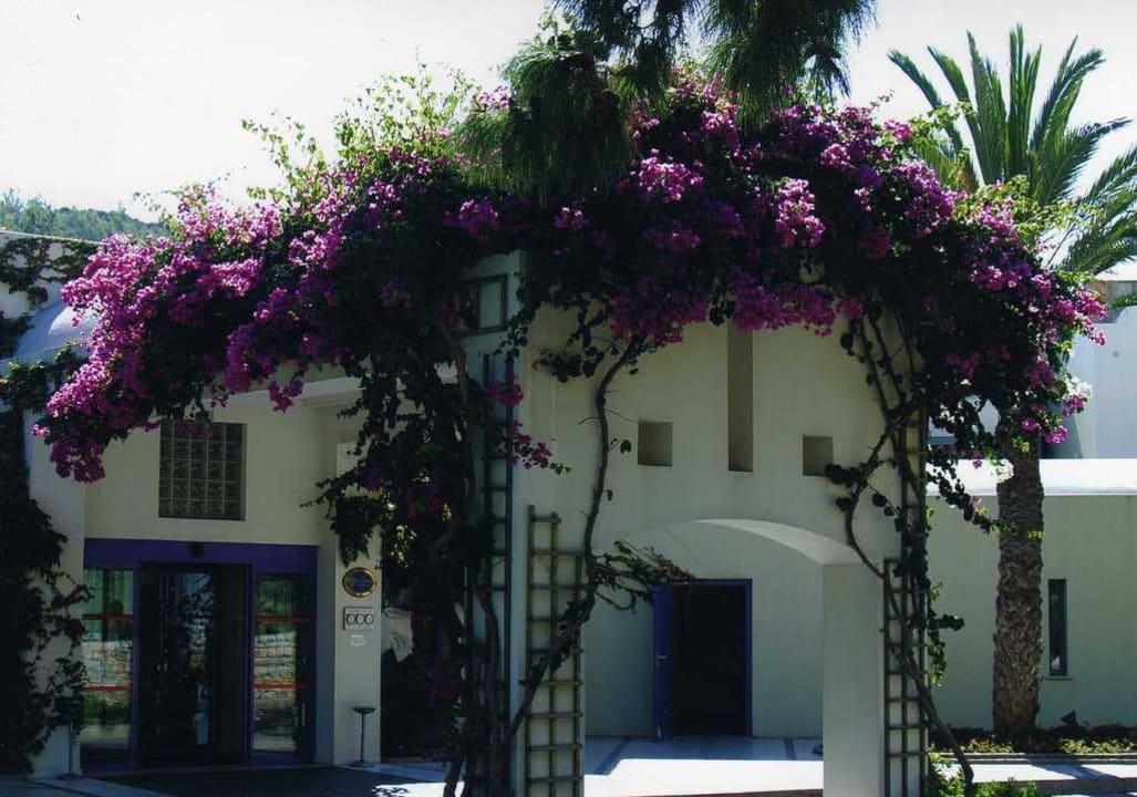 Eingangsbereich Hotel Hapimag Sea Garden Resort
