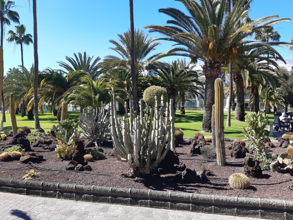 Gartenanlage Hotel Riu Gran Canaria
