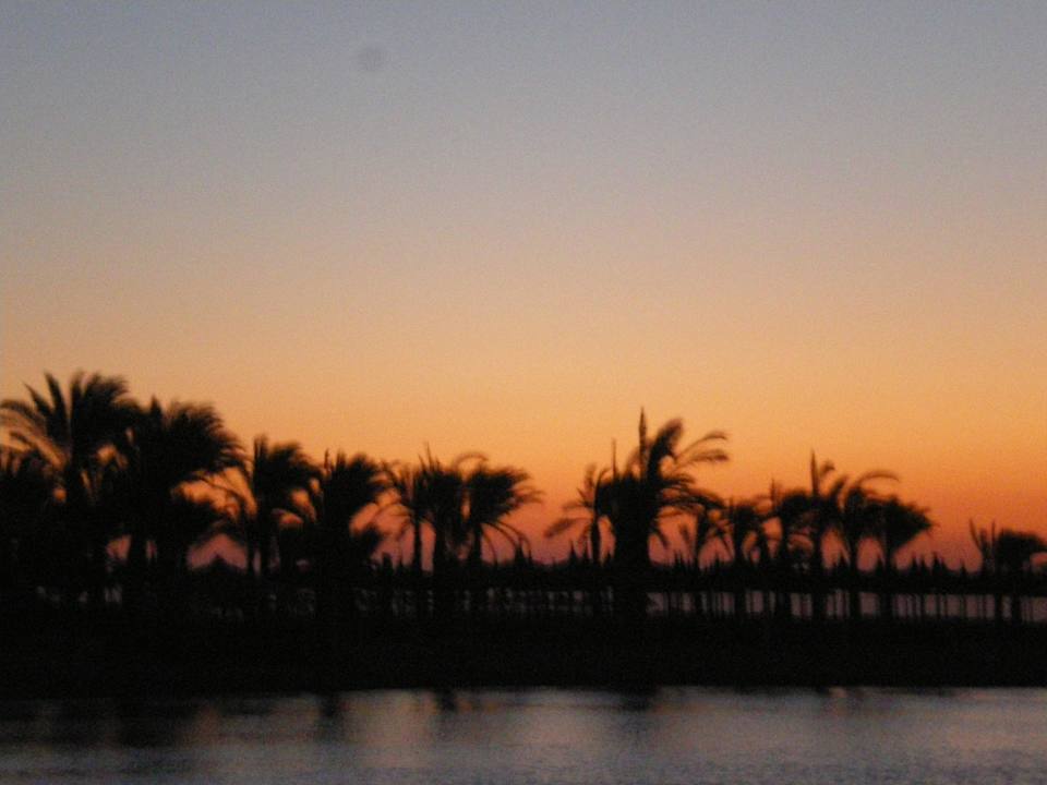 Sonnenaufgang Pickalbatros Palace Resort