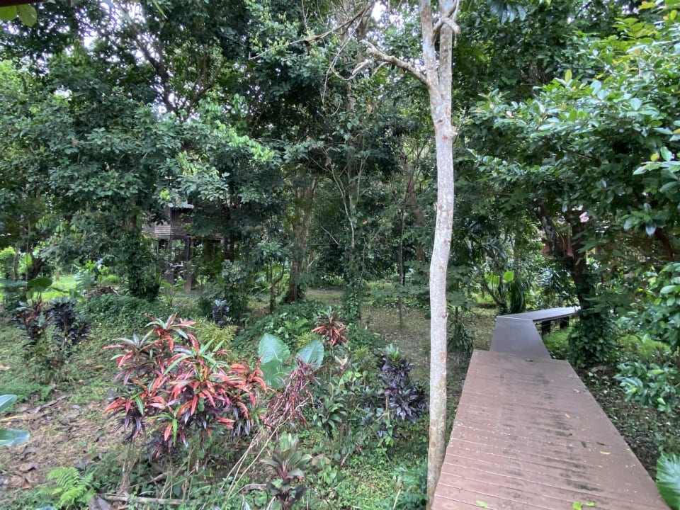 Gartenanlage The Bliss Khao Sok Boutique Lodge