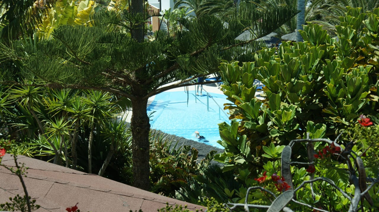 Poolanlage  allsun App.-Hotel Esquinzo Beach