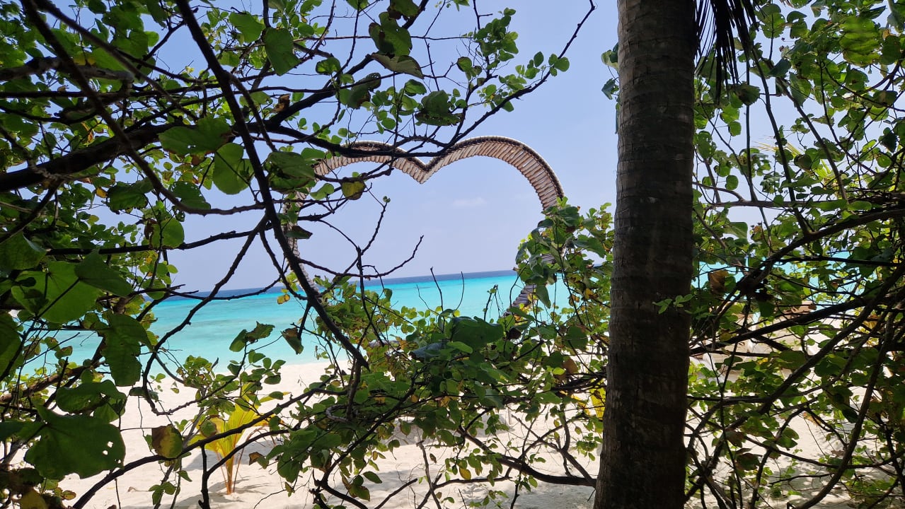 Gartenanlage Summer Island Maldives