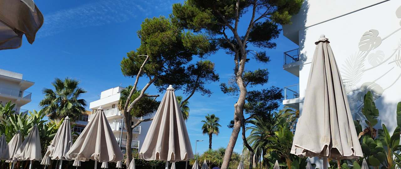 Pool Hotel Riu Concordia