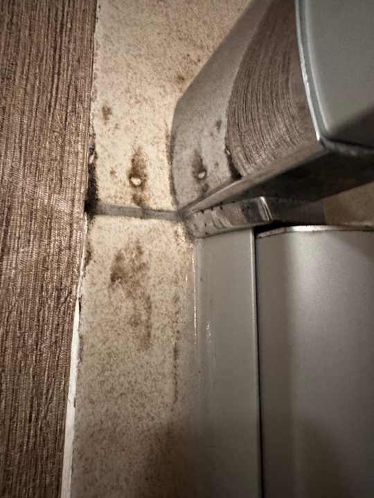 Zimmer Well Palace Side