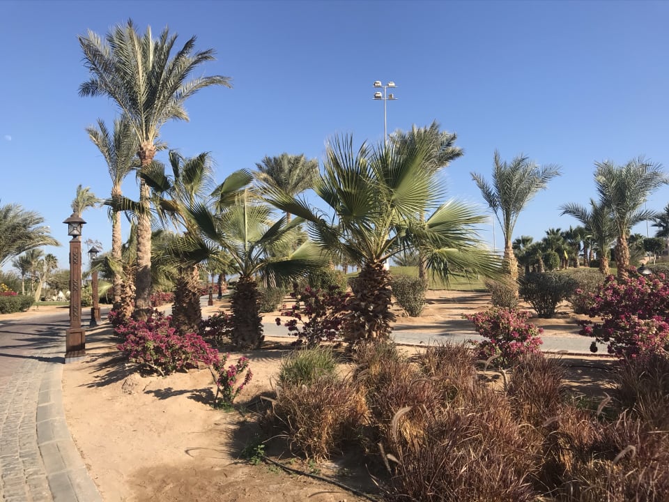 Gartenanlage Steigenberger Aqua Magic