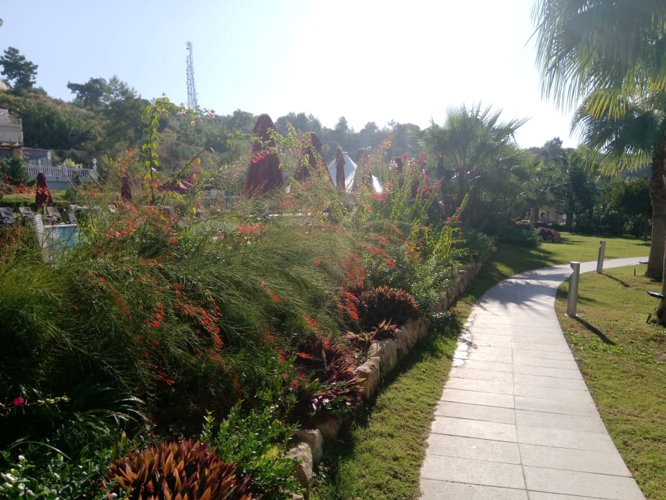 Gartenanlage Justiniano Deluxe Resort