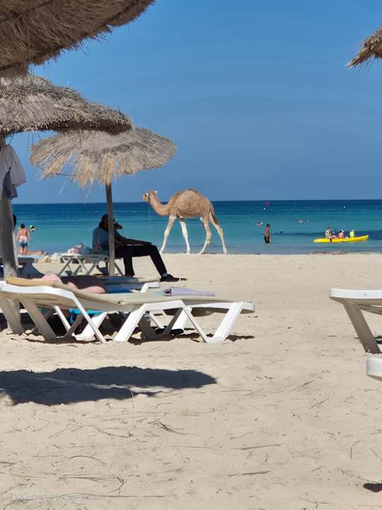 Strand Calimera Yati Beach