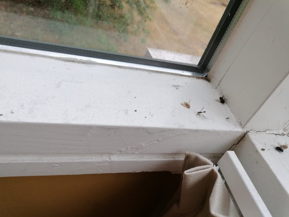 Zimmer Ferienpark Landal De Lommerbergen