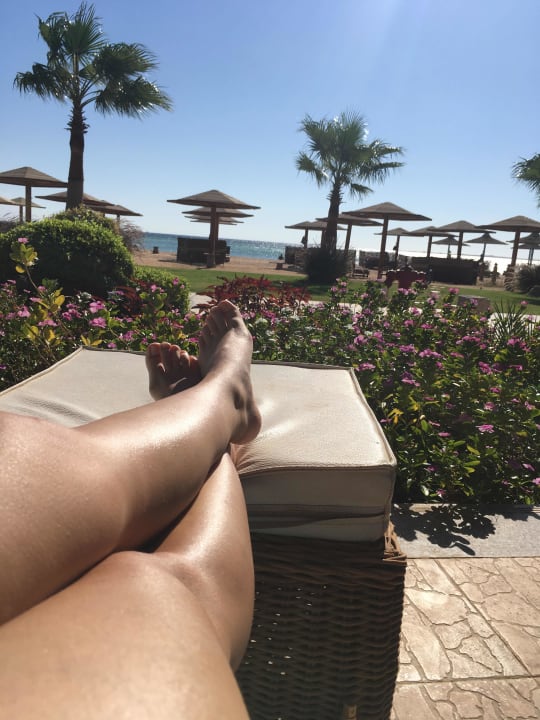 Zimmer Shams Prestige Abu Soma-Adults Only