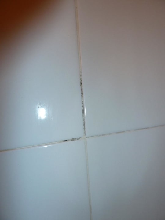 Schimmel in Fliesenfugen Hotel Mursa