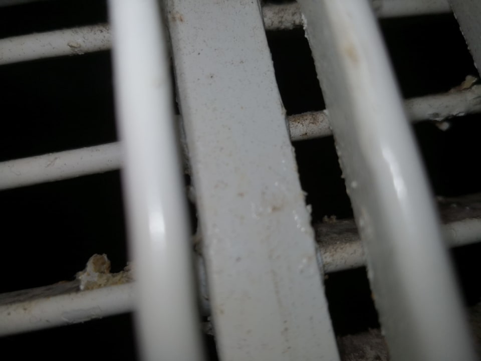 Zimmer Punta Cana Princess All Suites Resort & Spa