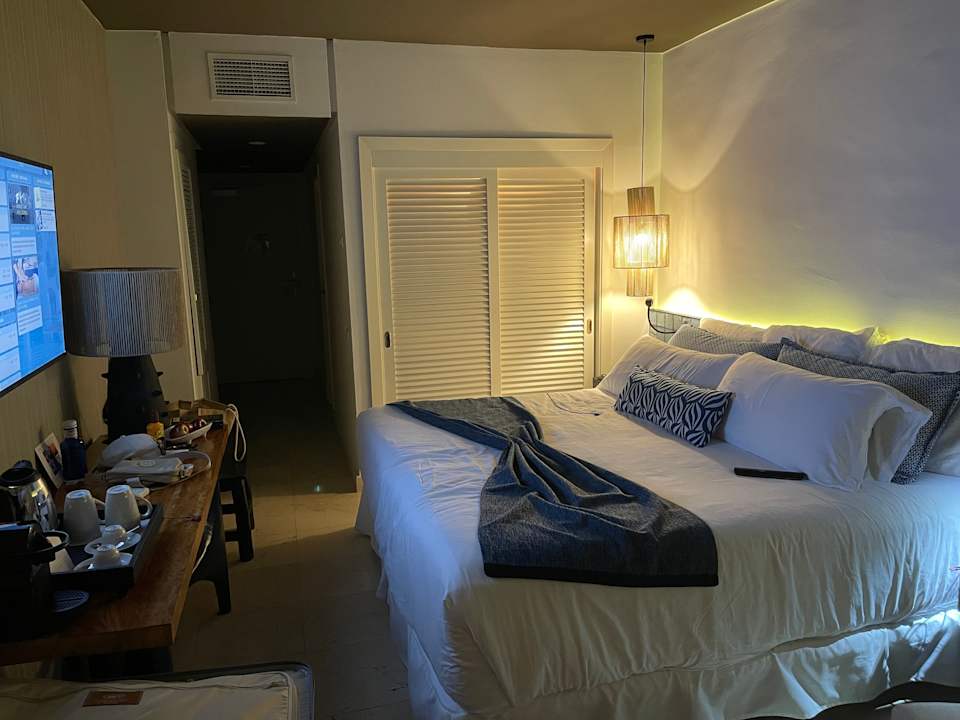 Zimmer Dreams Jardín Tropical