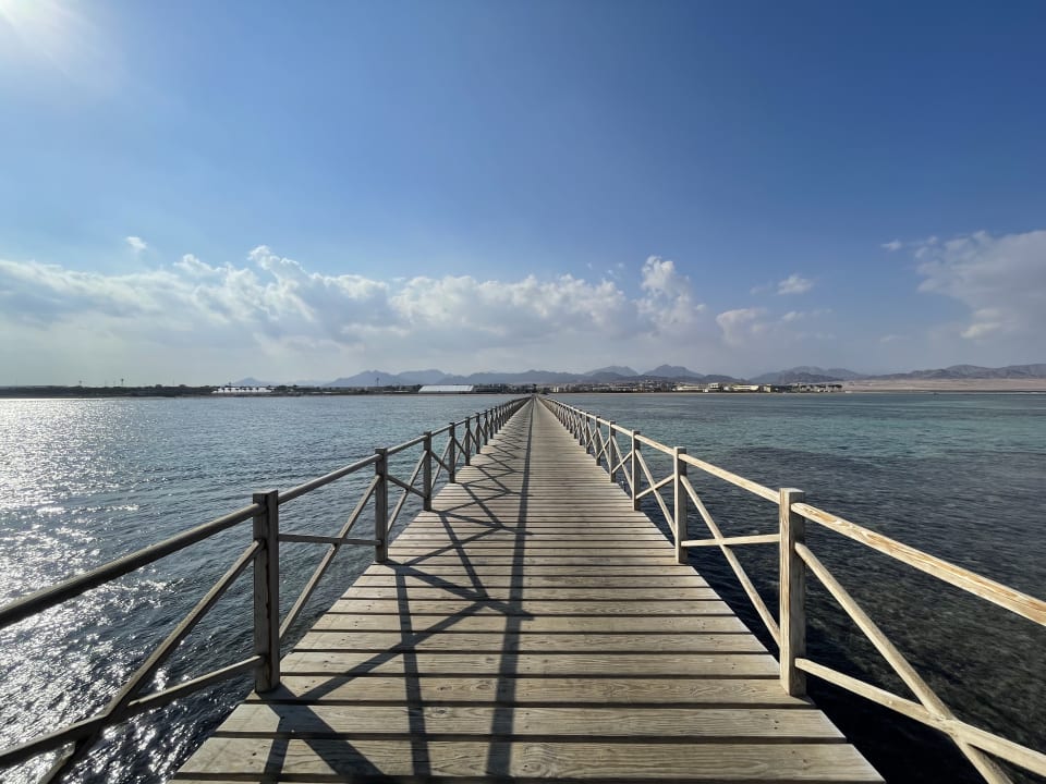 Ausblick Steigenberger Alcazar