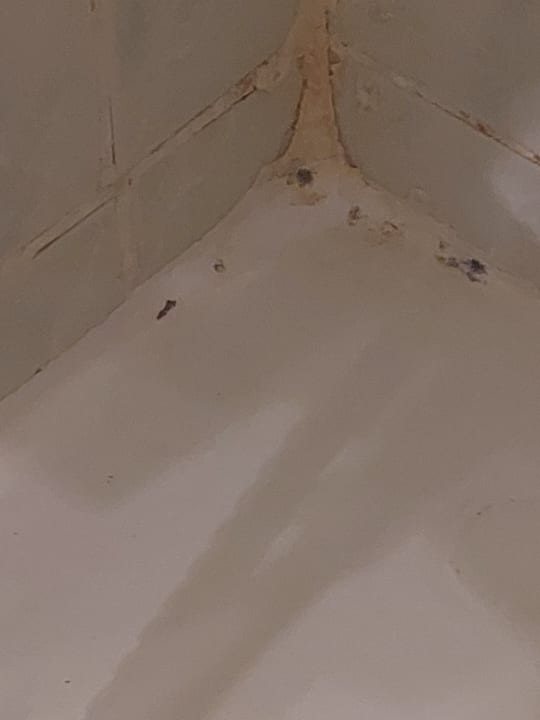 Zimmer Ghazala Gardens