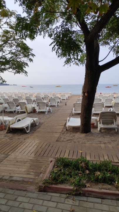 Strand Hotel Gardenia Beach
