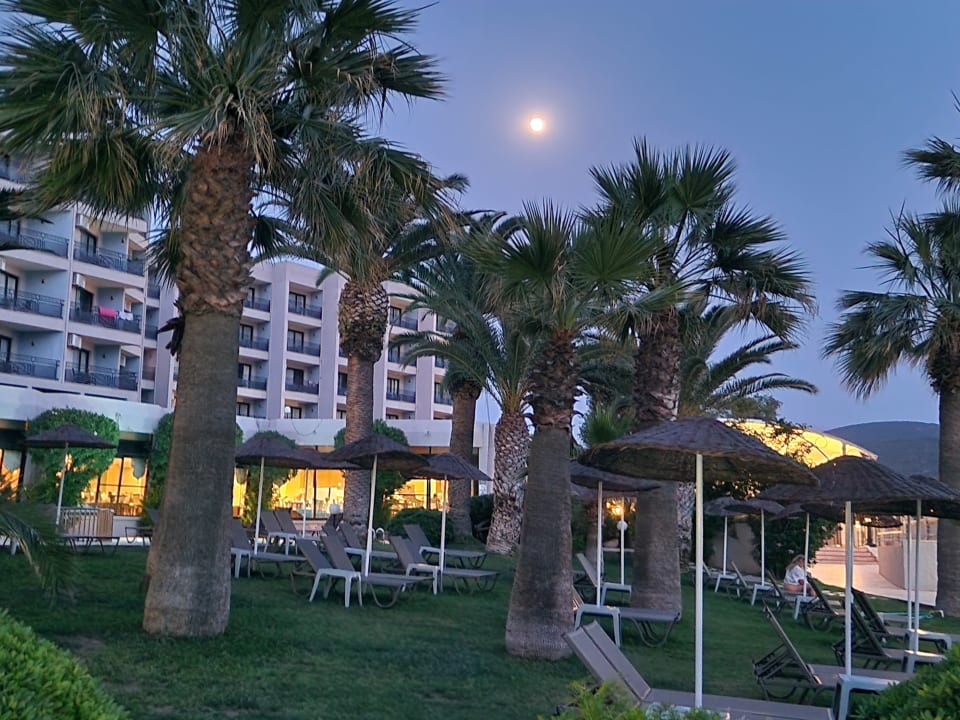 Außenansicht Tusan Beach Resort
