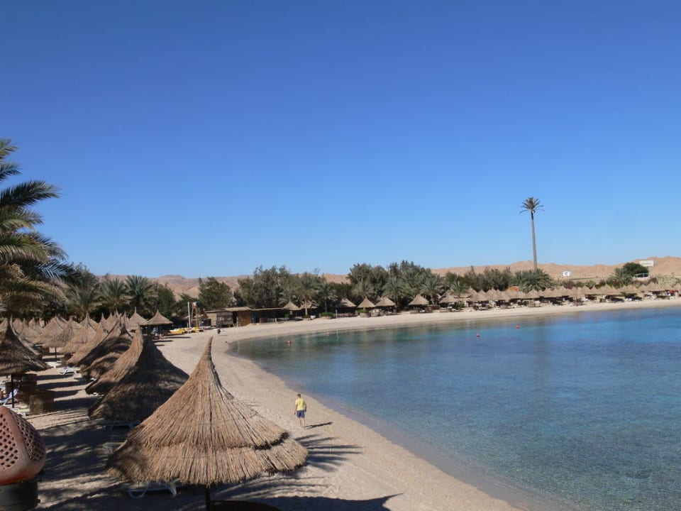 Blick über einen Teil des Strandes Mövenpick Resort El Quseir