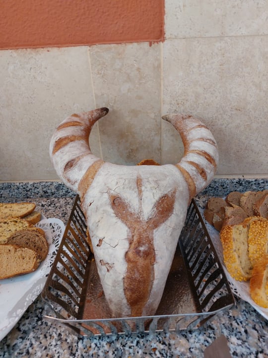 Gastro ROBINSON ÇAMYUVA