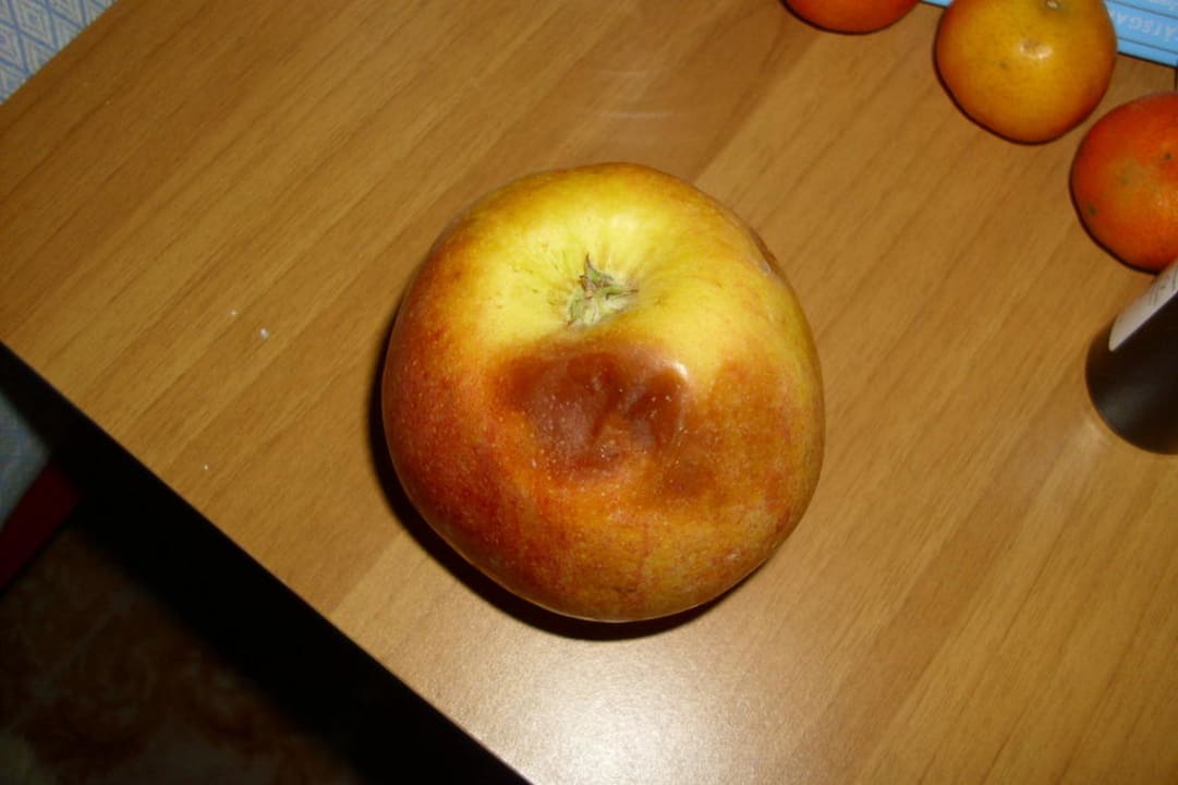 Güteklasse? Hotel Attico