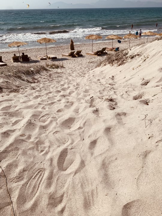 Strand Paralos Kyma Dunes