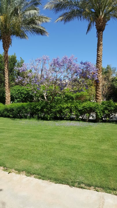 Natur Stella Beach Resort & Spa Makadi Bay