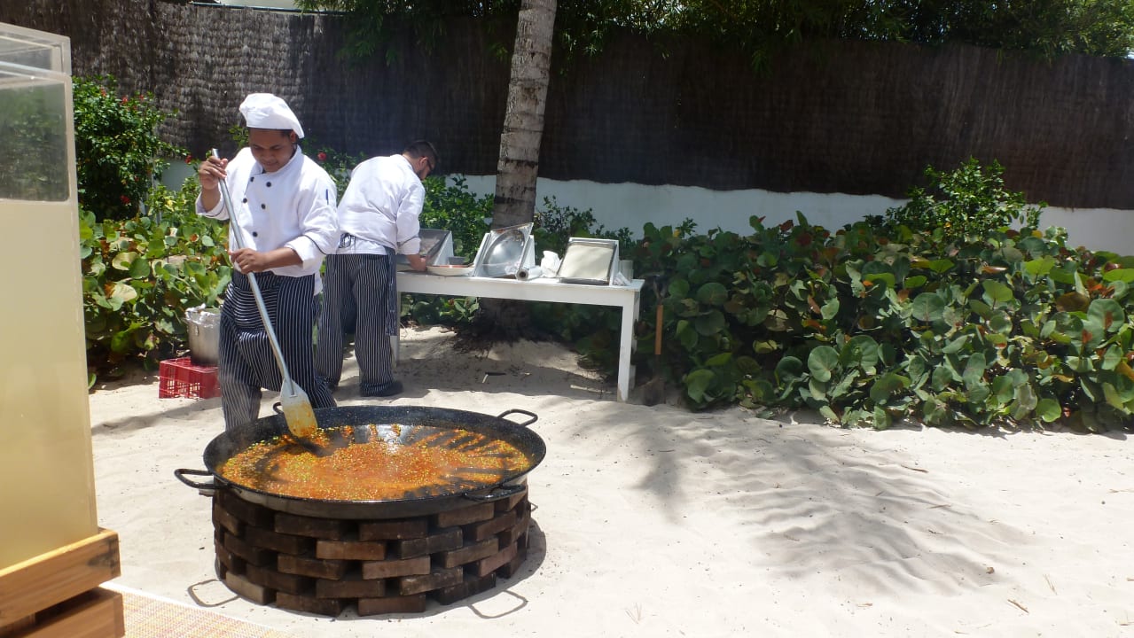 Paella Show Cooking Catalonia Royal La Romana - Adults only
