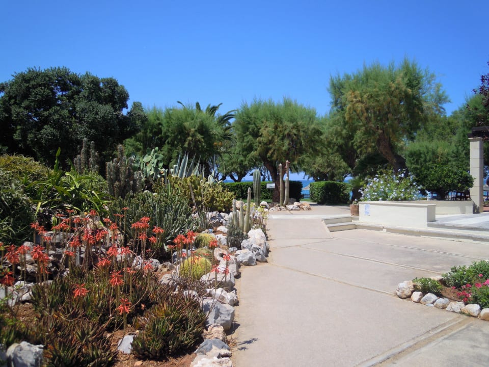 Weg zum Strand Phãea Cretan Malia