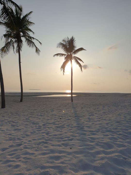 Strand Hondaafushi Island Resort