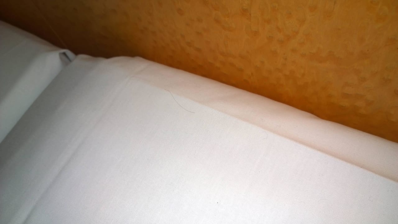 Haar im Bett Hotel Berlin, Berlin