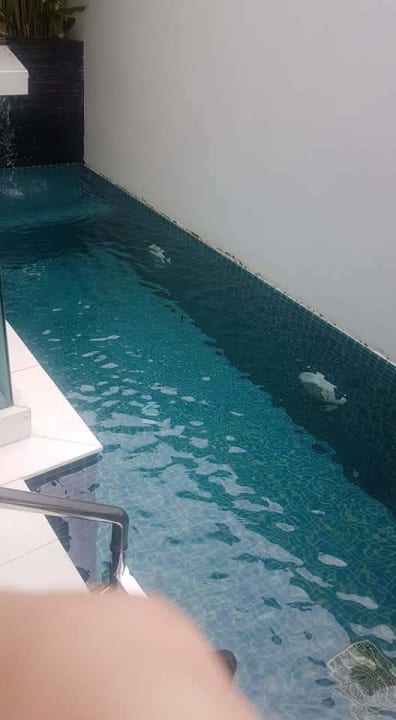 Zimmer Samui Resotel Beach Resort