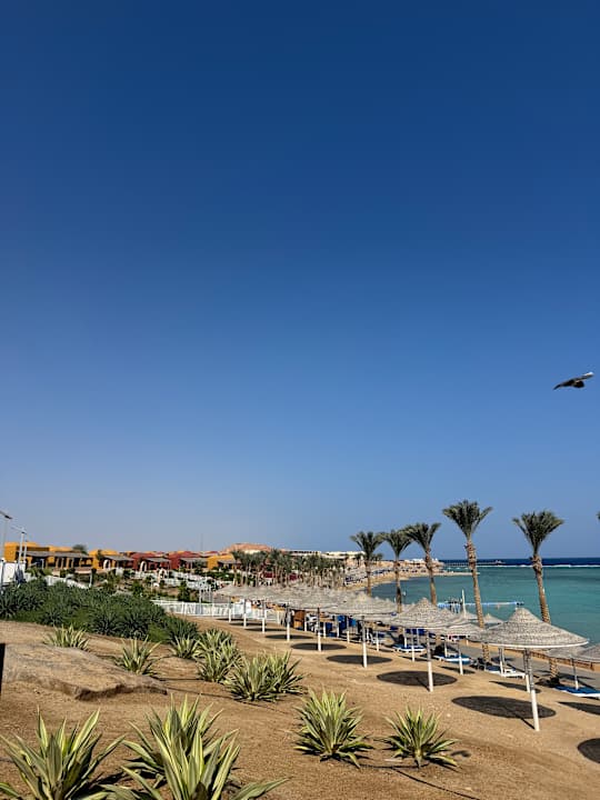 Gartenanlage Pickalbatros Villaggio Resort - Portofino